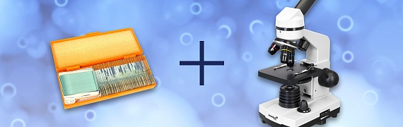 Набор микропрепаратов в подарок к микроскопу Levenhuk Rainbow 