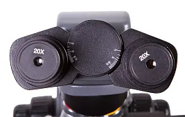 Анализ «Микроскопия мазка»