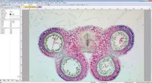 Видеоокуляр ToupCam 0,35 Мпикс (SCMOS00350KPA), изображение 2