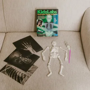 Набор 4M 00-03375 «Юный врач. Скелет человека», изображение 4