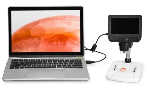 Микроскоп цифровой Levenhuk DTX 350 LCD, изображение 14