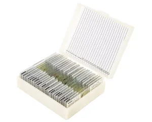 Набор микропрепаратов Konus 25: «Беспозвоночные и насекомые», изображение 3