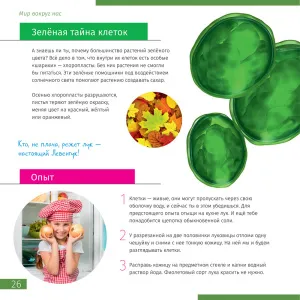 Микроскоп Levenhuk Discovery Atto Polar с книгой, изображение 6