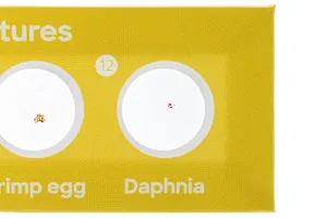 Набор микропрепаратов Levenhuk Discovery «Фауна», 12 шт., изображение 7