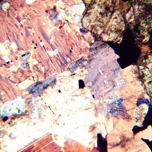 Микроскоп поляризационный цифровой MAGUS Pol D800 LCD, изображение 22