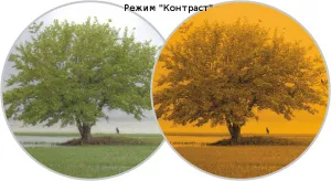 Бинокль Yukon Expert VMR 8x40 (Pulsar), изображение 3