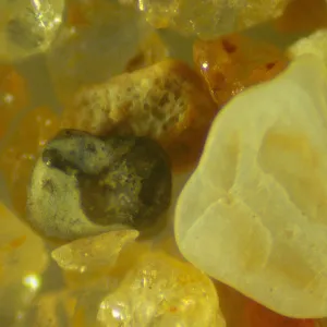 Микроскоп стереоскопический цифровой MAGUS Stereo D9T, изображение 25