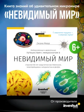 Книга знаний «Невидимый мир», изображение 8