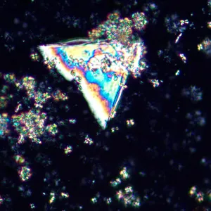 Микроскоп поляризационный цифровой MAGUS Pol D850 LCD, изображение 27