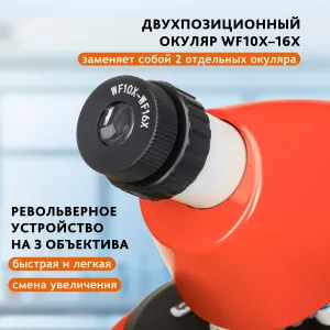 Микроскоп Levenhuk Discovery Micro с книгой, изображение 21