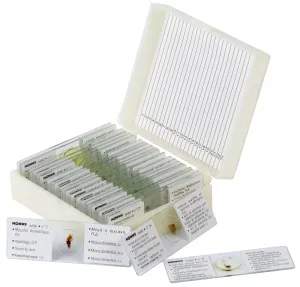 Набор микропрепаратов Konus 25: «Насекомые», изображение 2