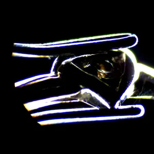 Микроскоп стереоскопический цифровой MAGUS Stereo D7T LCD BASE, изображение 25