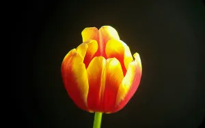 Фототелескоп Levenhuk Kelvin MAK90 AZ GOTO Wi-Fi, изображение 14